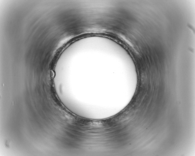 X0000093231315200710241228