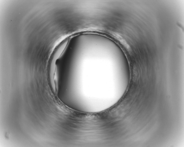 X0000093231316200710241228