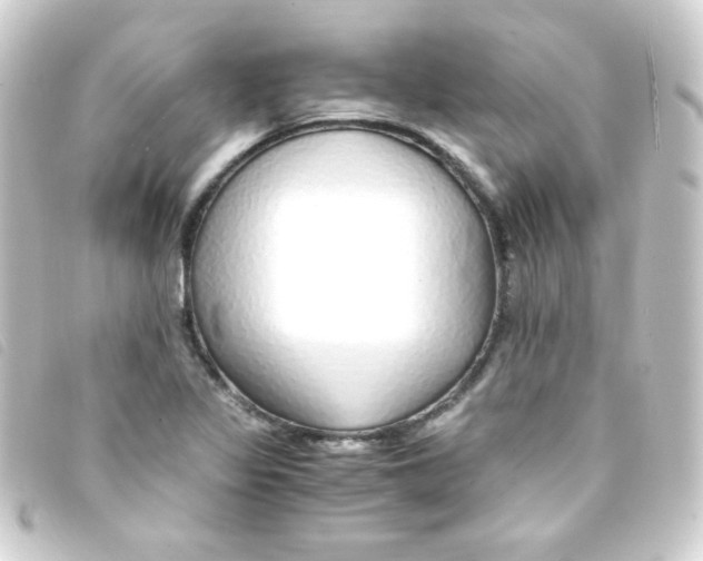 X0000093231317200710241228