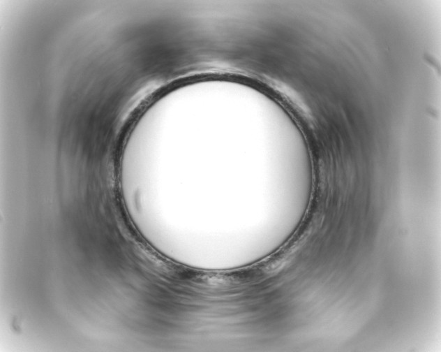 X0000093231318200710241228