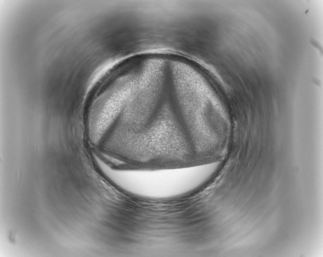 X0000093231319200710241228