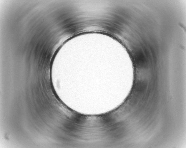 X0000093231322200710241228