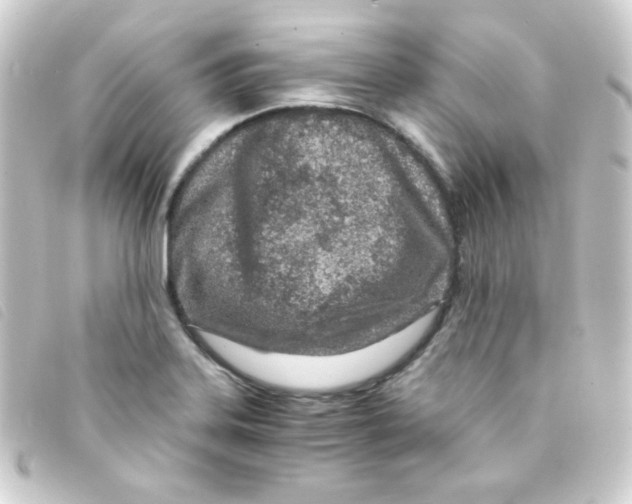 X0000093231323200710241228