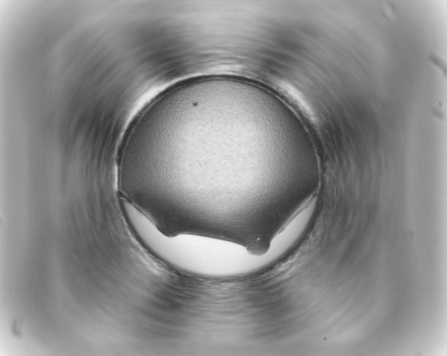 X0000093231324200710241228