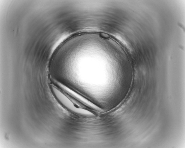 X0000093231325200710241228