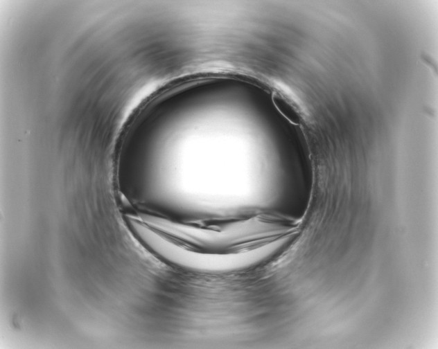 X0000093231326200710241228