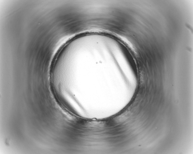 X0000093231327200710241228