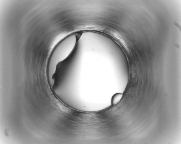 X0000093231328200710241228