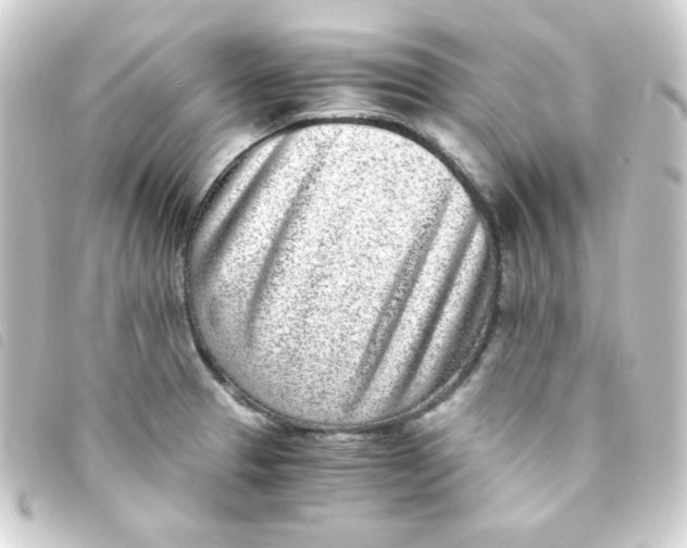 X0000093231329200710241228