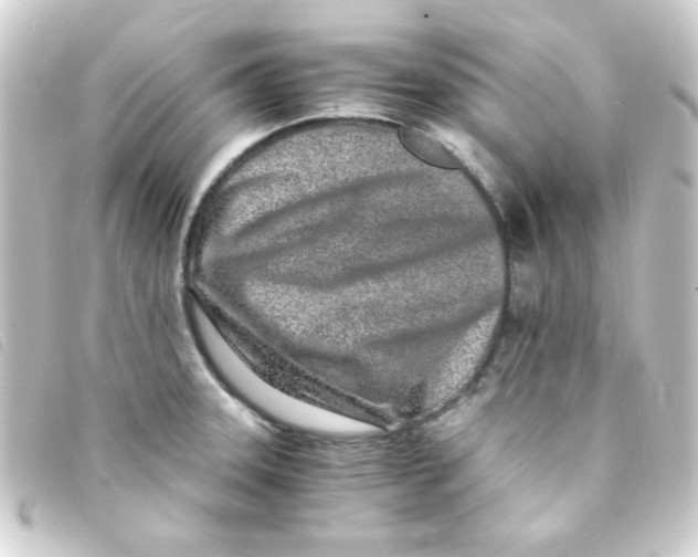 X0000093231331200710241228