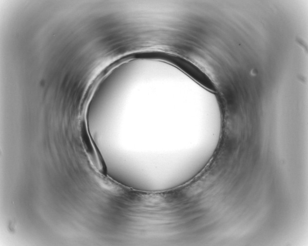 X0000093231332200710241228