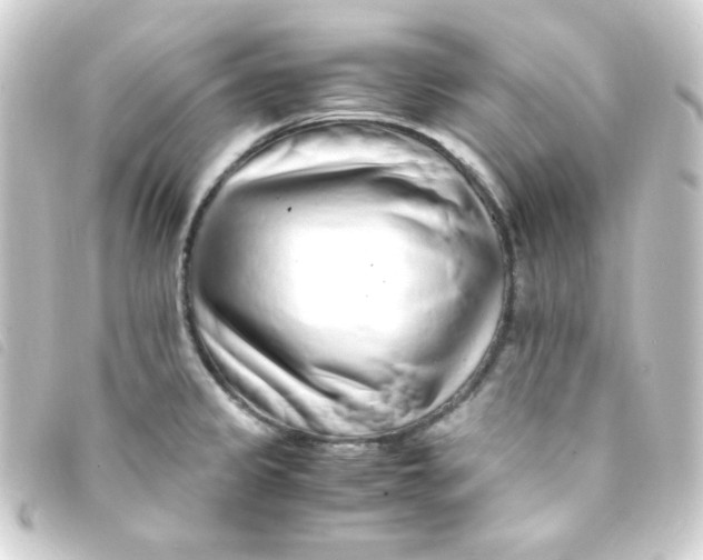 X0000093231333200710241228