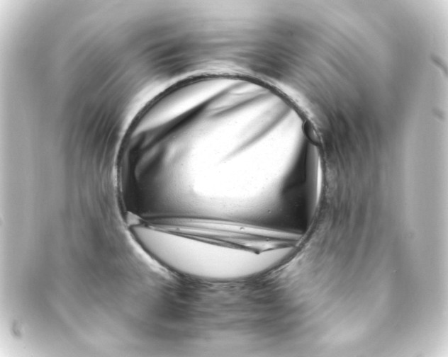 X0000093231335200710241228