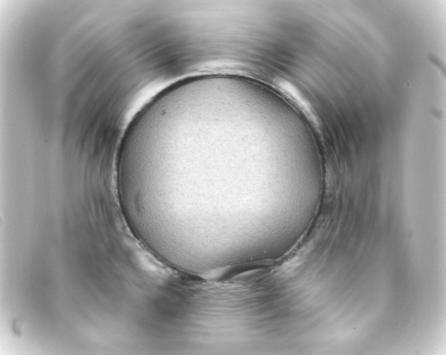 X0000093231336200710241228