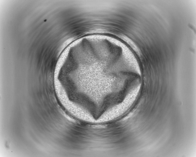 X0000093231337200710241228