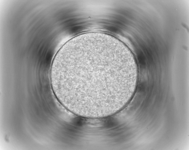 X0000093231338200710241228