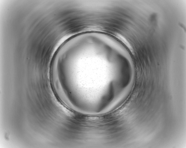 X0000093231339200710241228