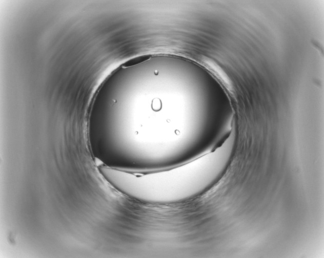 X0000093231340200710241228