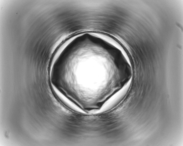 X0000093231341200710241228