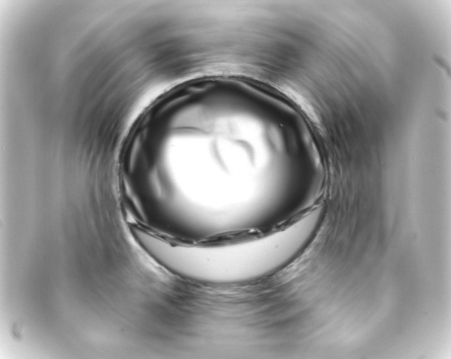 X0000093231342200710241228