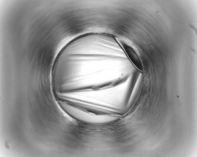 X0000093231343200710241228