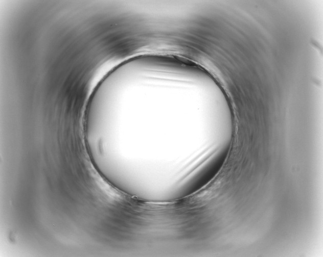 X0000093231344200710241228