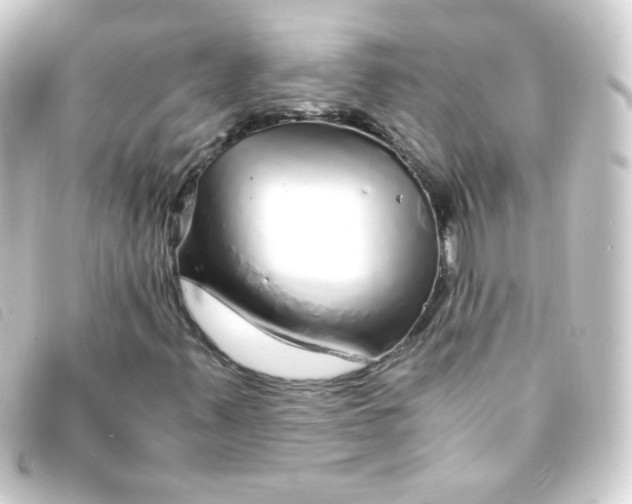 X0000093231347200710241228