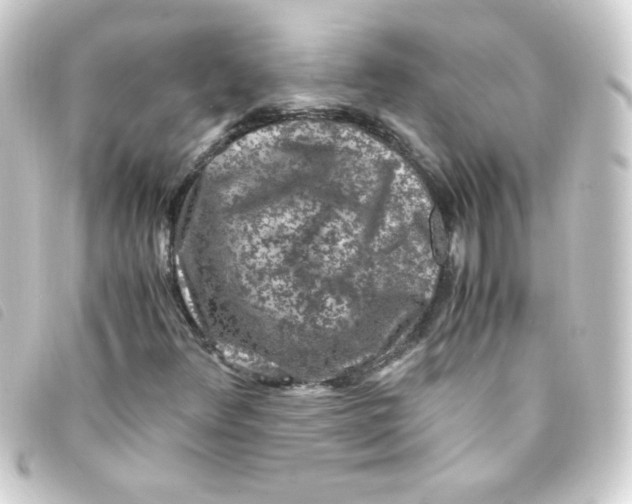 X0000093231348200710241228