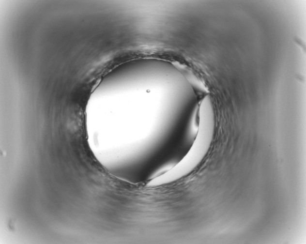 X0000093231349200710241228