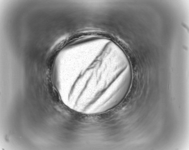 X0000093231351200710241228