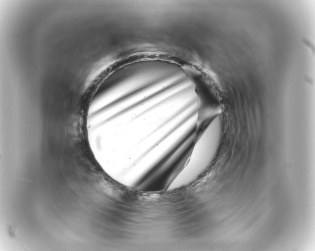 X0000093231352200710241228