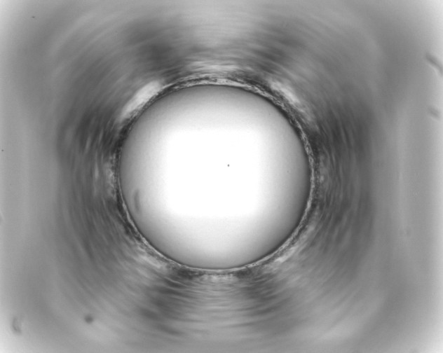 X0000093231354200710241228