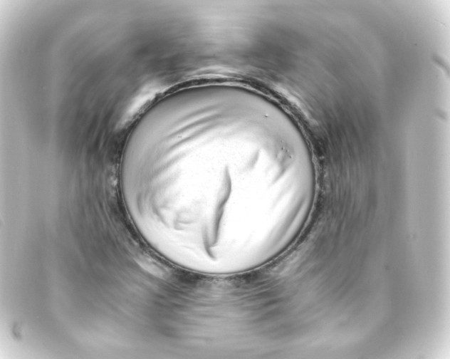 X0000093231355200710241228