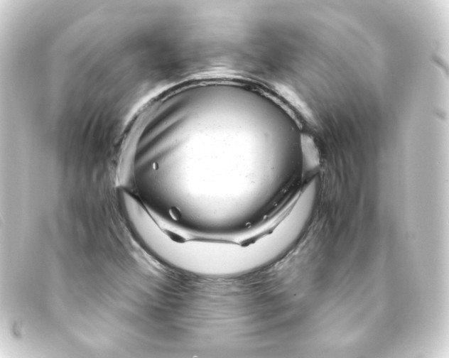 X0000093231356200710241228