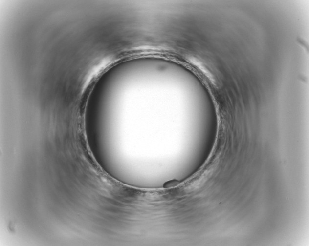 X0000093231357200710241228