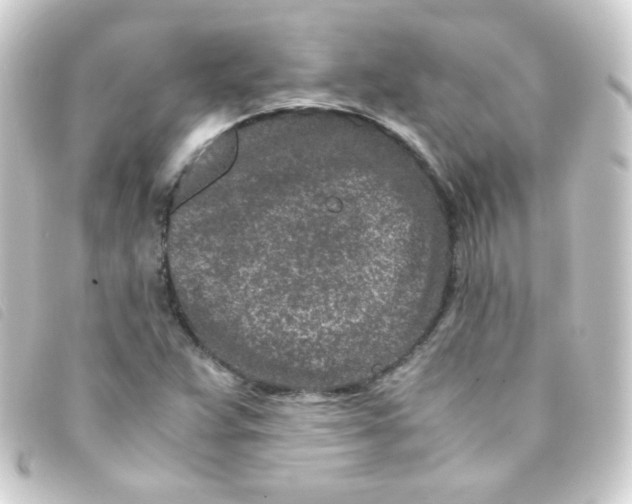 X0000093231359200710241228