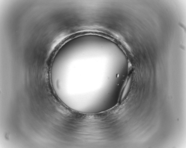 X0000093231360200710241228