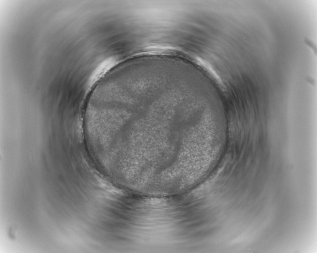 X0000093231362200710241228