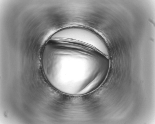 X0000093231363200710241228