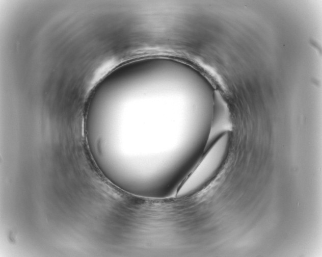 X0000093231365200710241228