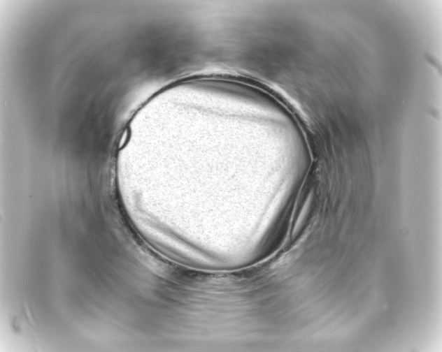 X0000093231367200710241228