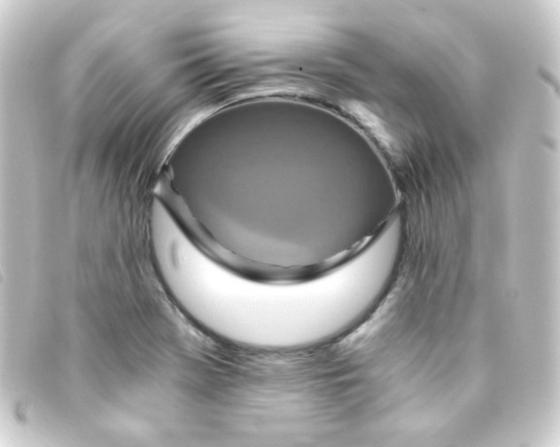 X0000093231369200710241227