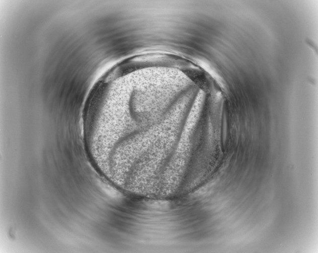 X0000093231372200710241227