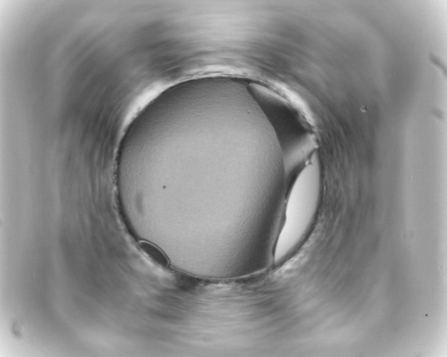 X0000093231373200710241227