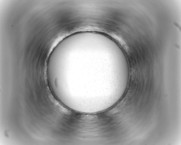 X0000093231374200710241227