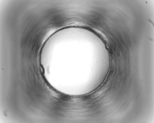 X0000093231375200710241227