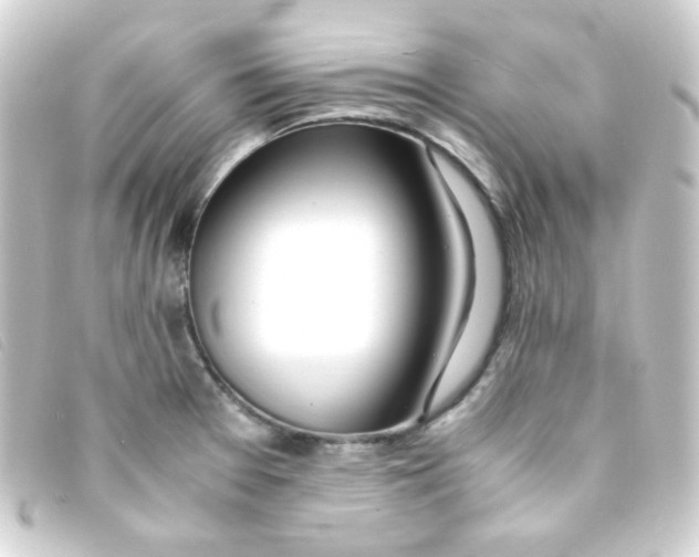 X0000093231377200710241227