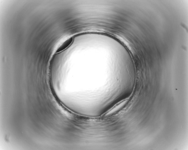 X0000093231379200710241227