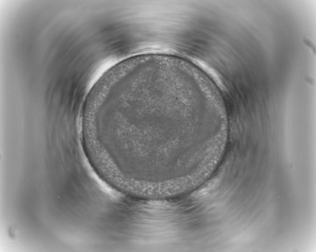 X0000093231383200710241227