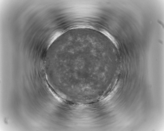 X0000093231385200710241227